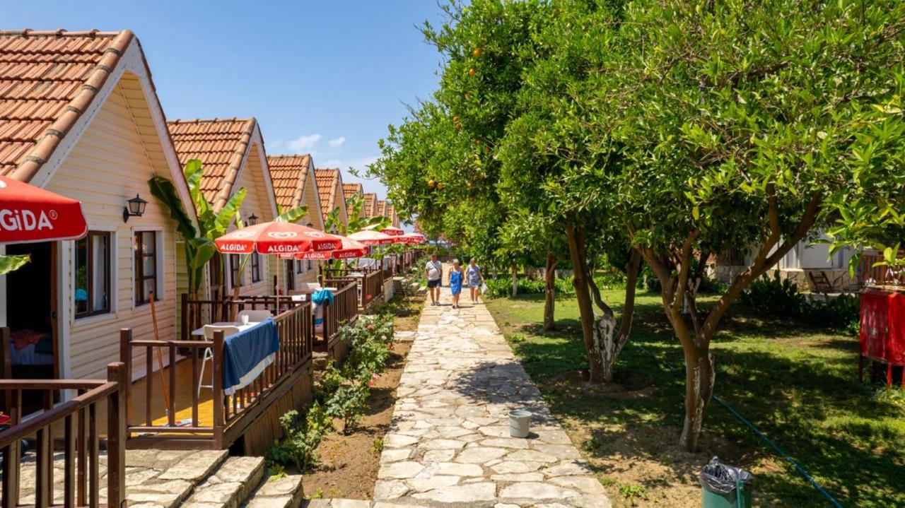 סייד Clover Magic Nova Beach Hotel מראה חיצוני תמונה