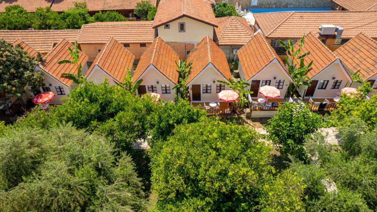סייד Clover Magic Nova Beach Hotel מראה חיצוני תמונה
